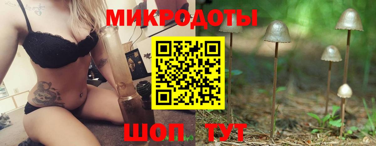 где можно купить наркотик  Псилоцибиновые грибы Cubensis  Вход с VPN  Лесозаводск 